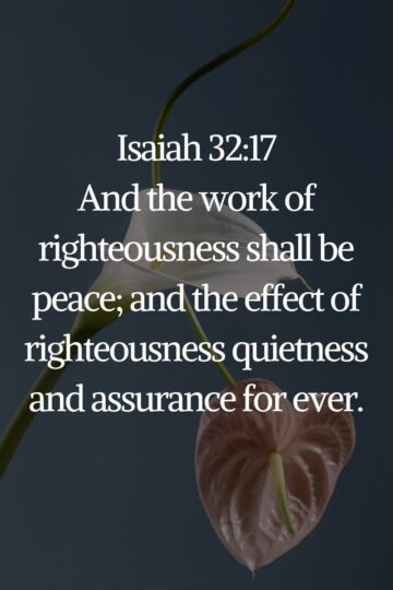 Discover the Best Powerful Scriptures on Peace and Faith