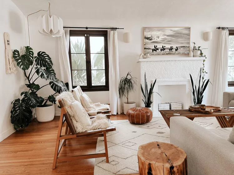 Home Decor Plant ideas