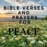 10 Bible Verses for Prayers and Peace