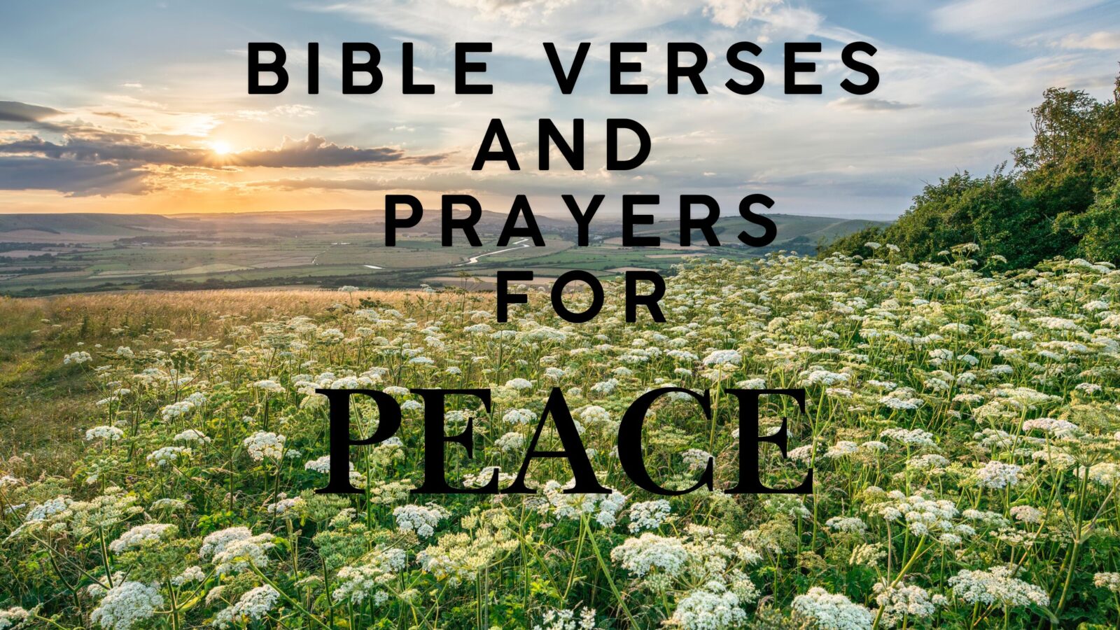 10 Bible Verses for Prayers and Peace