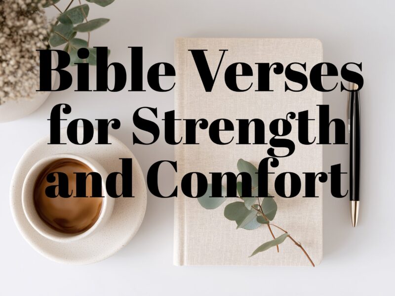 Bible Verses for Comfort